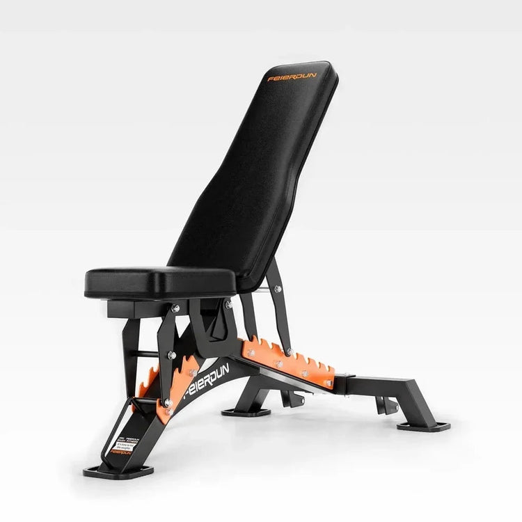Fitness Essentials Collection: Your Ultimate Fitness Essentials Guide