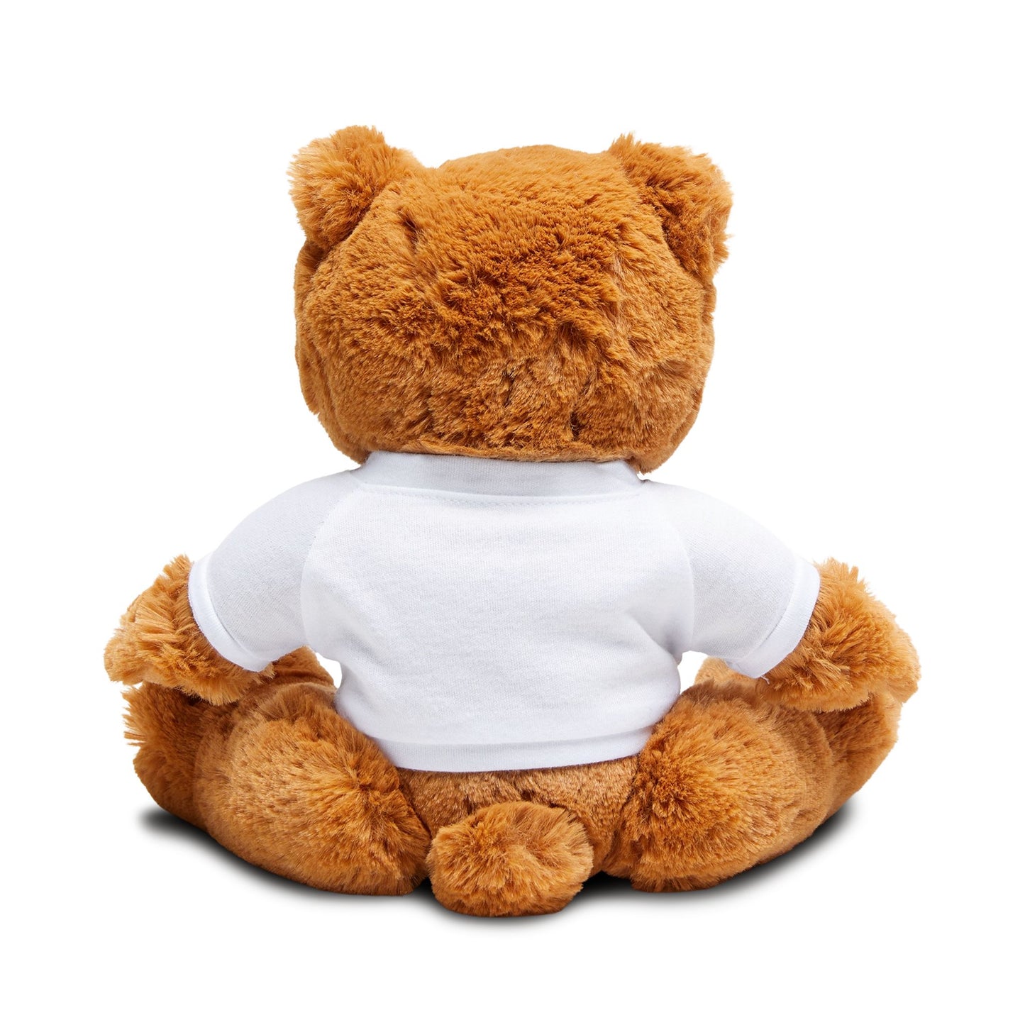 Adorable Motivational Teddy Bear