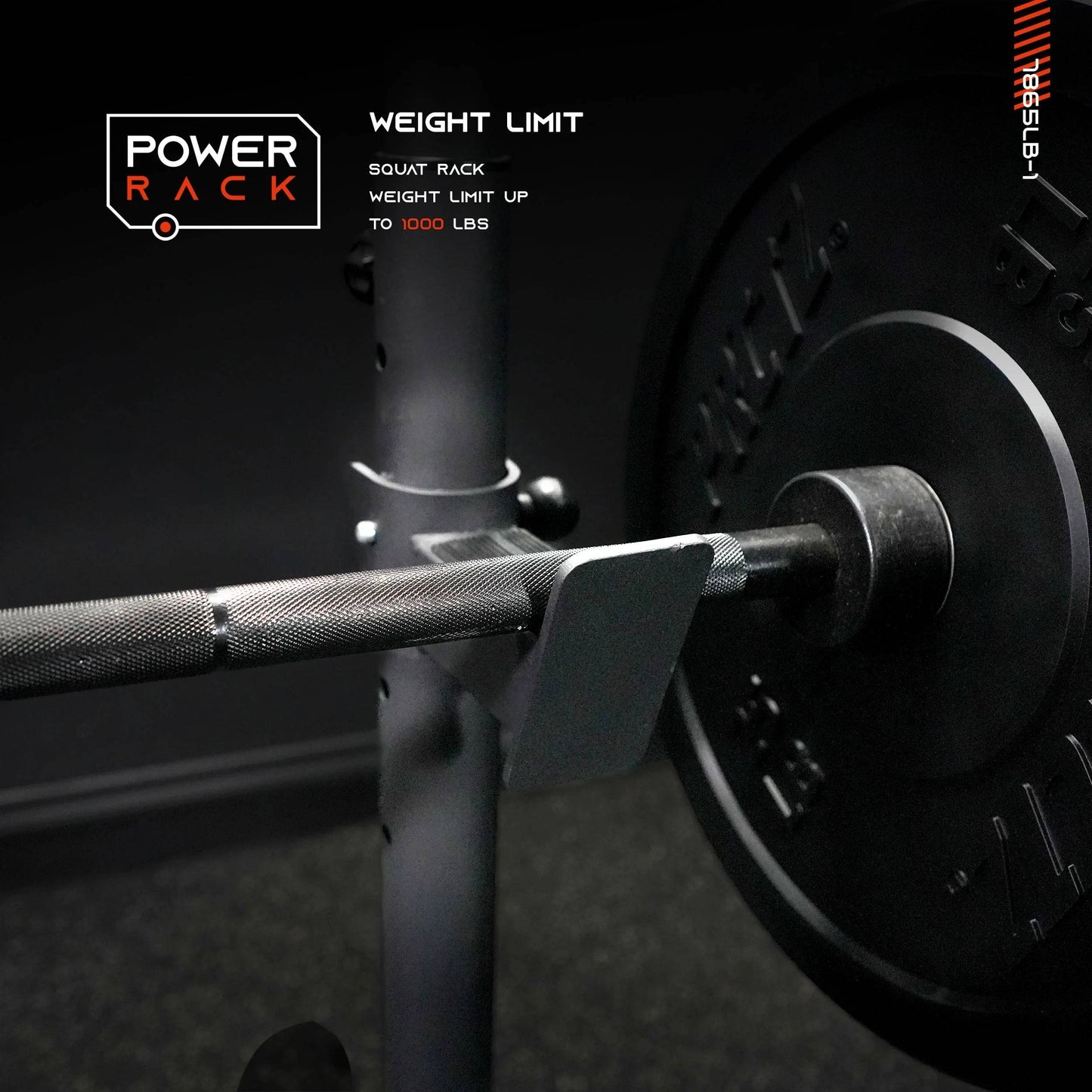 Weight Bench with Squat Rack - Foldable FID Bench with Weight Storage Solution -
