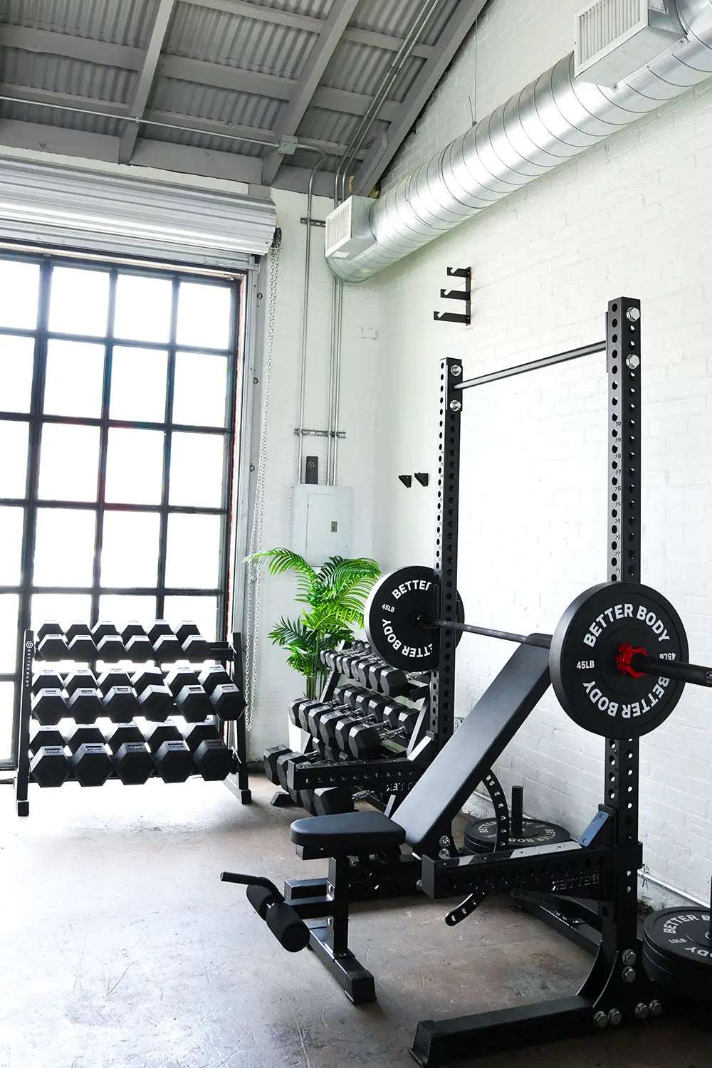 Dumbbell Sets for Home Gym - Versatile Weight Training Solutions -