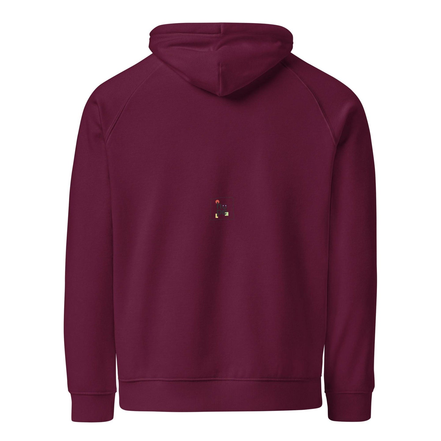 Men's Eco Raglan Hoodie for Intense Training and Comfort -