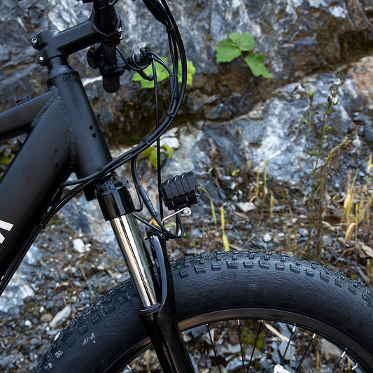 Powerful Electric Mountain Bike for Adults - 1000W Motor & 26" Fat Tires