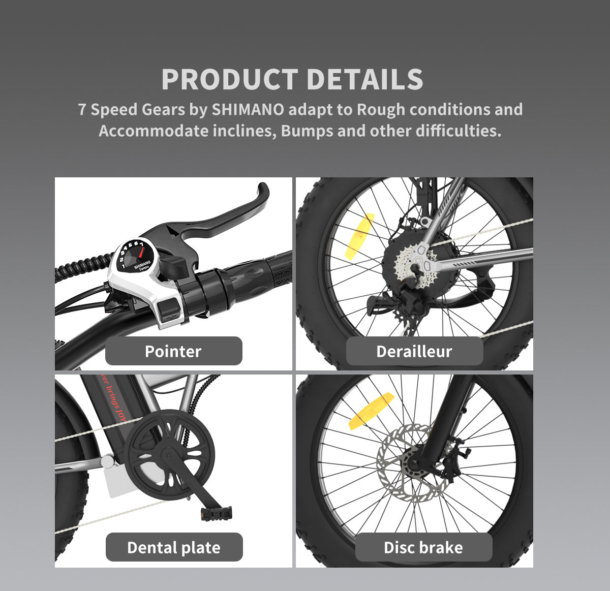 Foldable Fat Tire Electric Bike