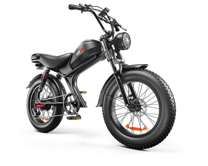 20 Inch High-Speed Electric Bike - 48V 1000W Motor Performance -