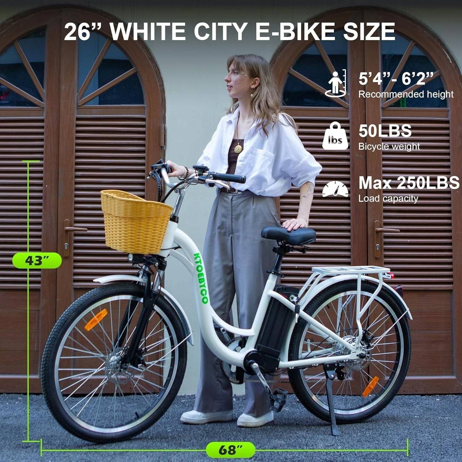 Electric City Bike E-Commuter -