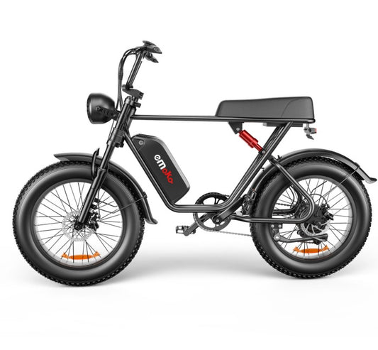 Electric Bike 20 Inch - Explore the Purchase Style and Details