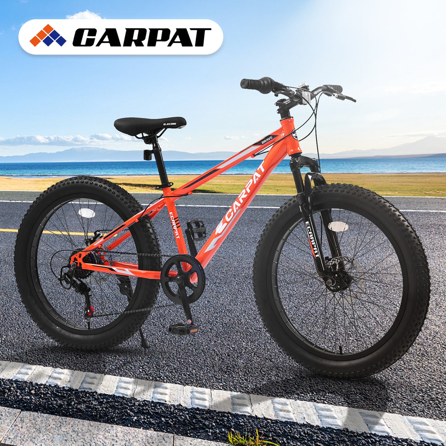 24" Fat Tire Mountain Bike - 7-Speed Shimano, Dual Disc Brake & Suspension