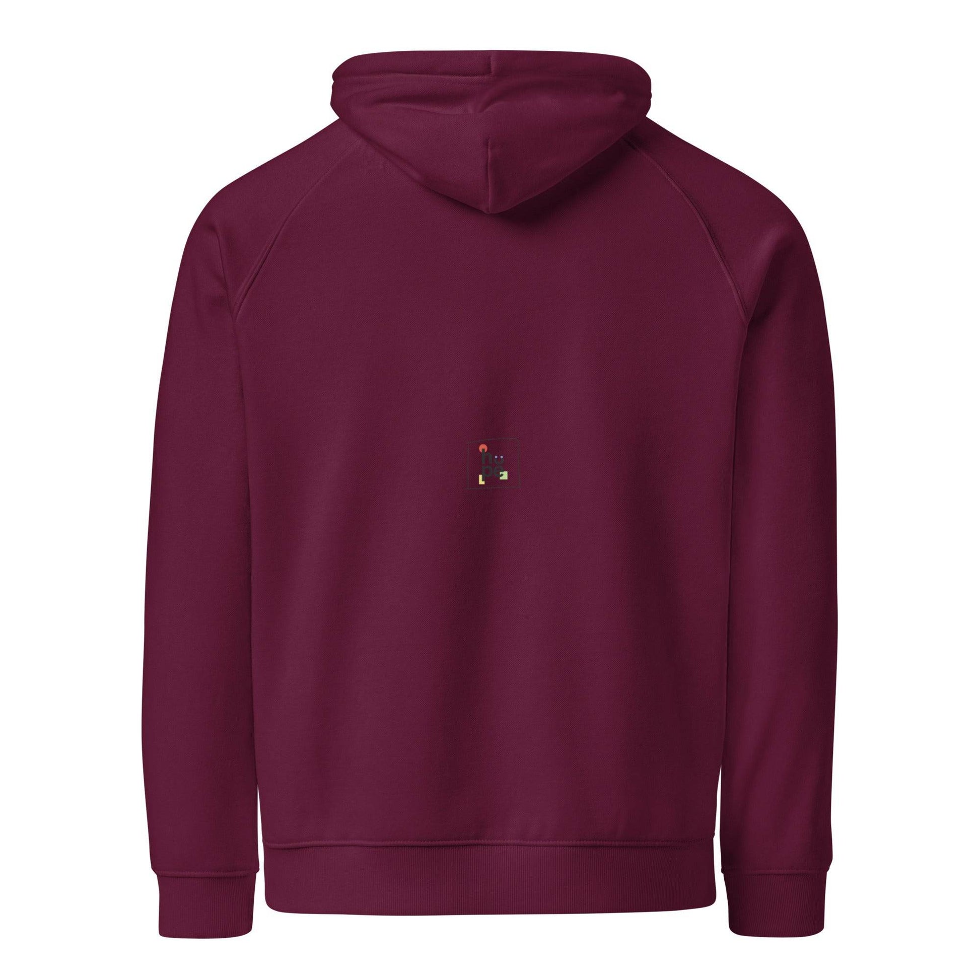 Men's Eco Raglan Hoodie for Intense Training and Comfort -